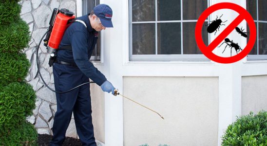Senirkent Fare İlaçlama böcek ilaçlama ve haşere kontrolü — ilaclama-tr.com